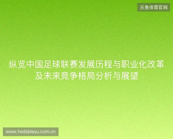 纵览中国足球联赛发展历程与职业化改革及未来竞争格局分析与展望