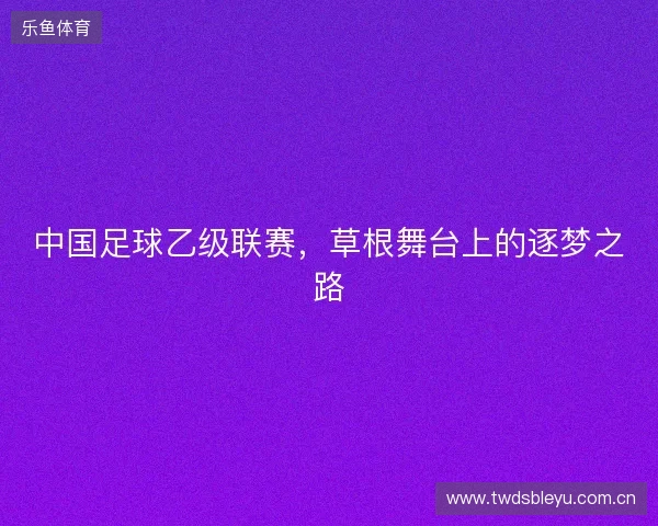 中国足球乙级联赛,草根舞台上的逐梦之路 中国足球乙级联赛,草根舞台上的逐梦之路