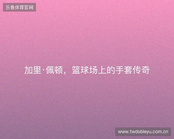 加里·佩顿，篮球场上的手套传奇